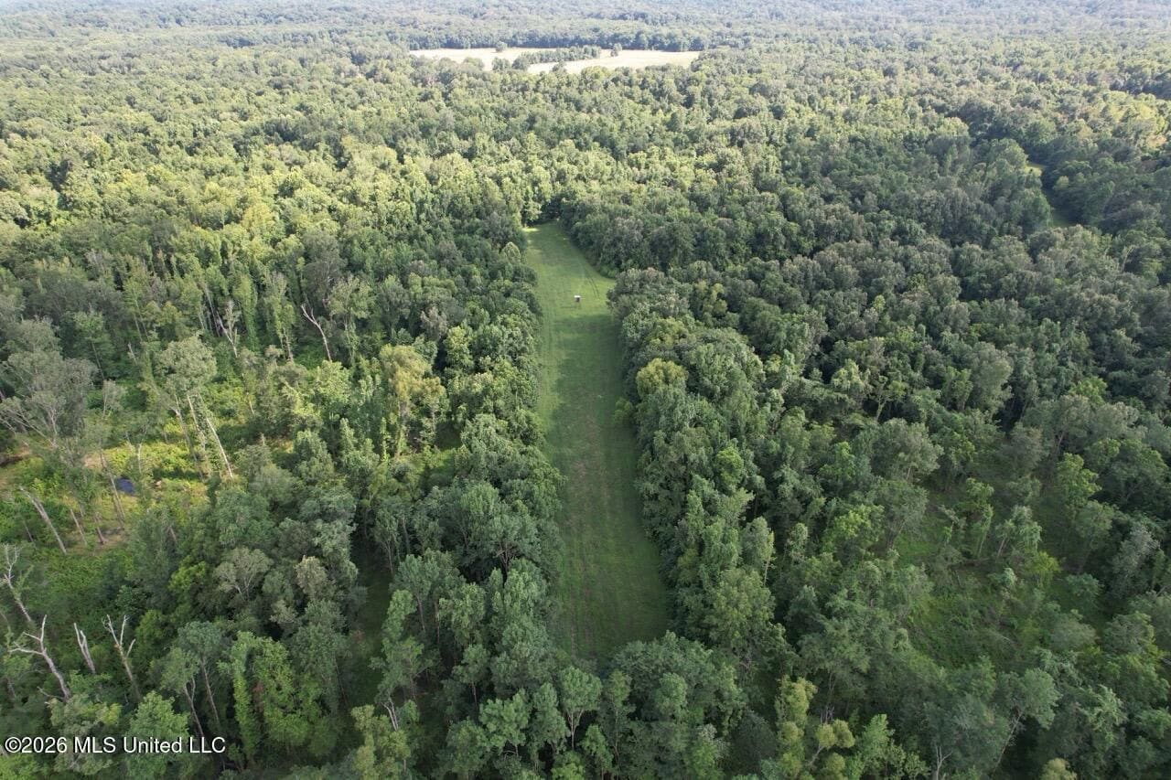 Wilkinson County, MS Hunting Club Membership