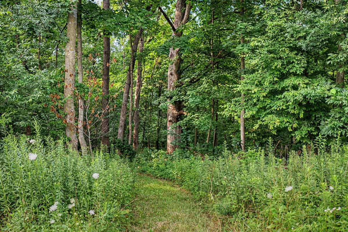 47± Acre Hunting Property with Cabin | Vernon County, Wisconsin