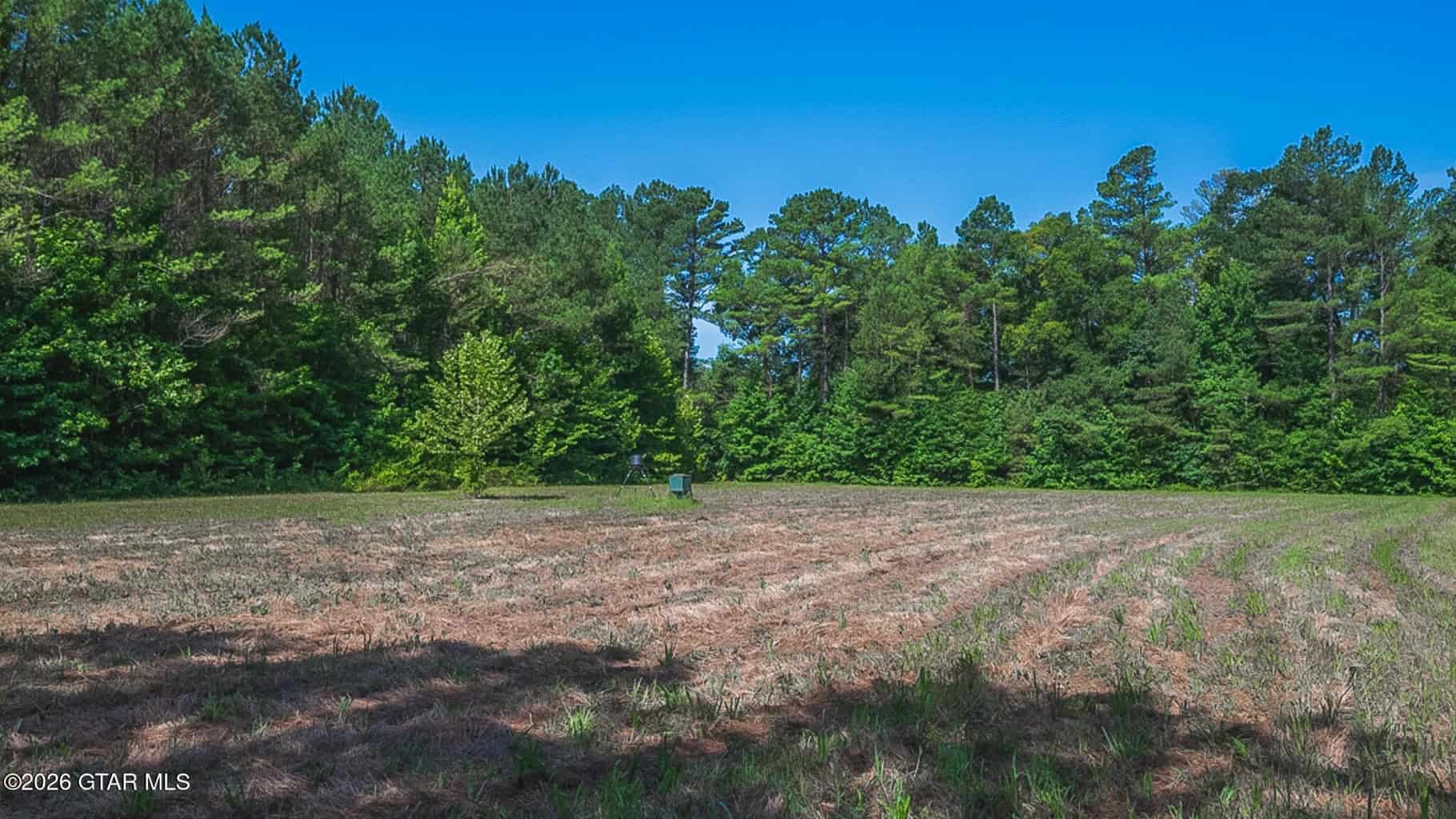 Trophy Bass Fishing and Hunting Property Starkville MS