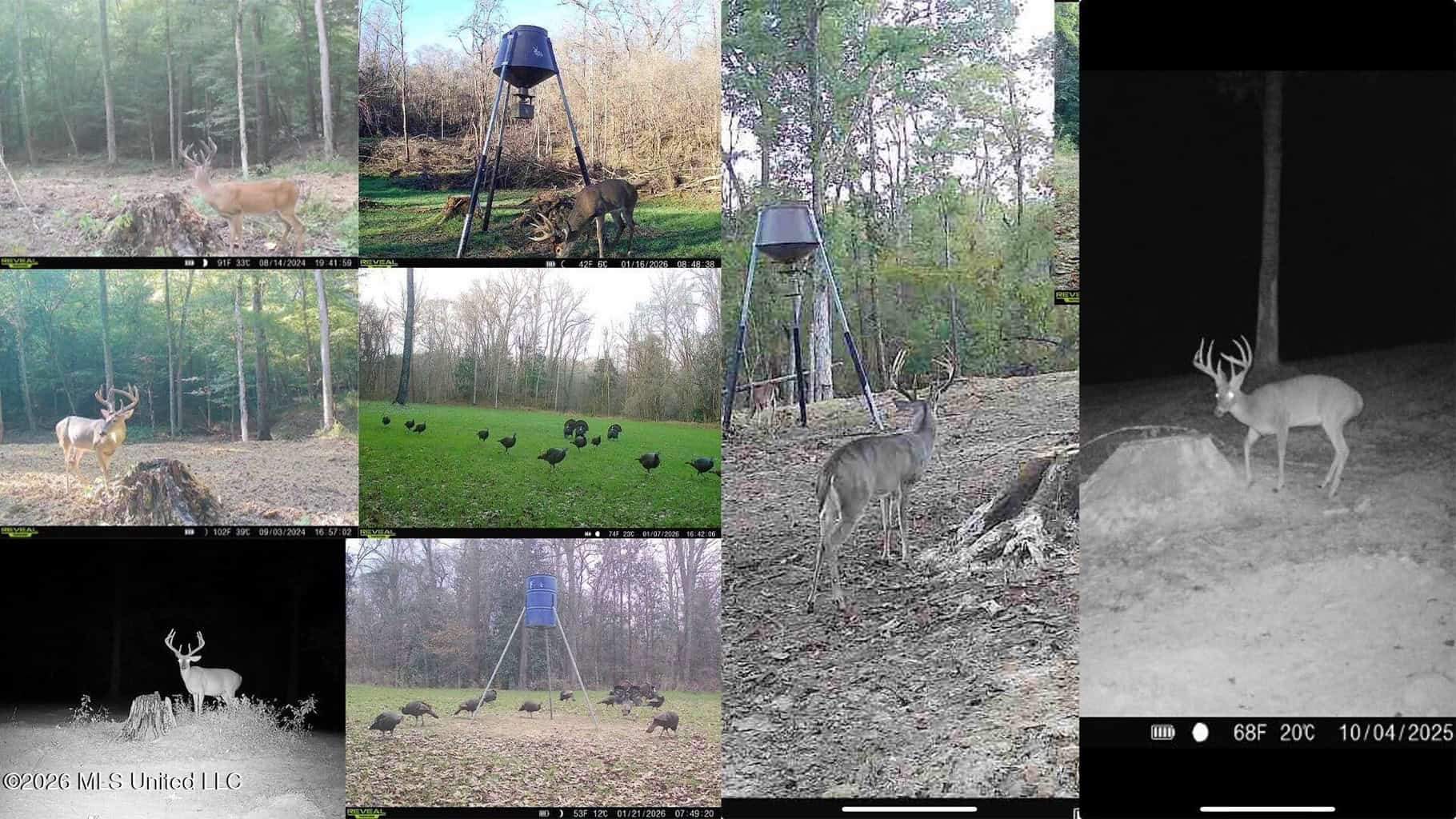 375± Acres in Jefferson County, MS Near Natchez Trace