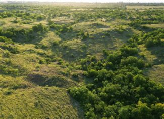 Stunning 391 ac Ranch in Clay County, TX