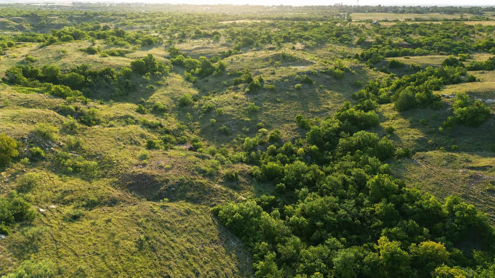 Stunning 391 ac Ranch in Clay County, TX