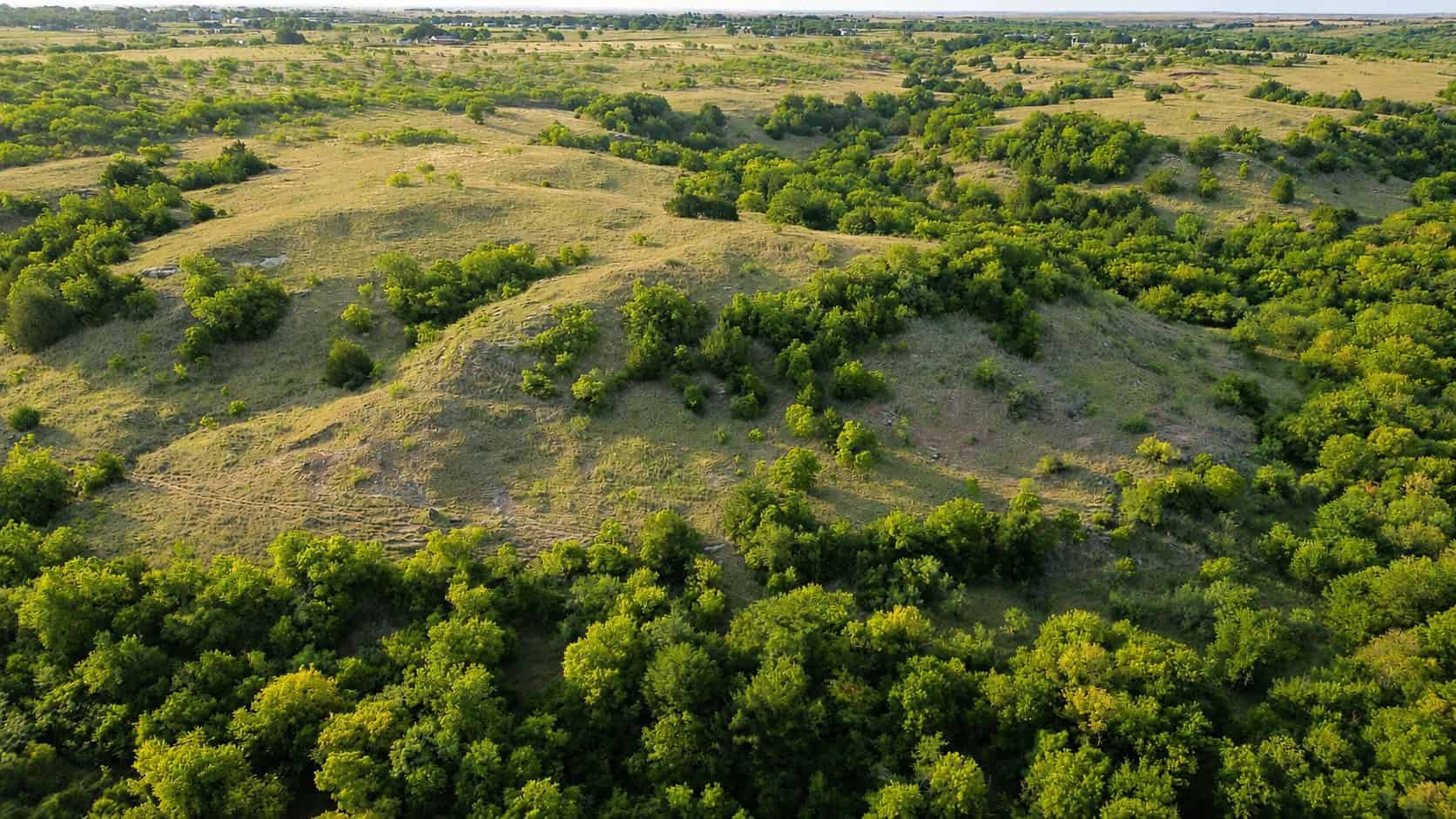 Stunning 391 ac Ranch in Clay County, TX