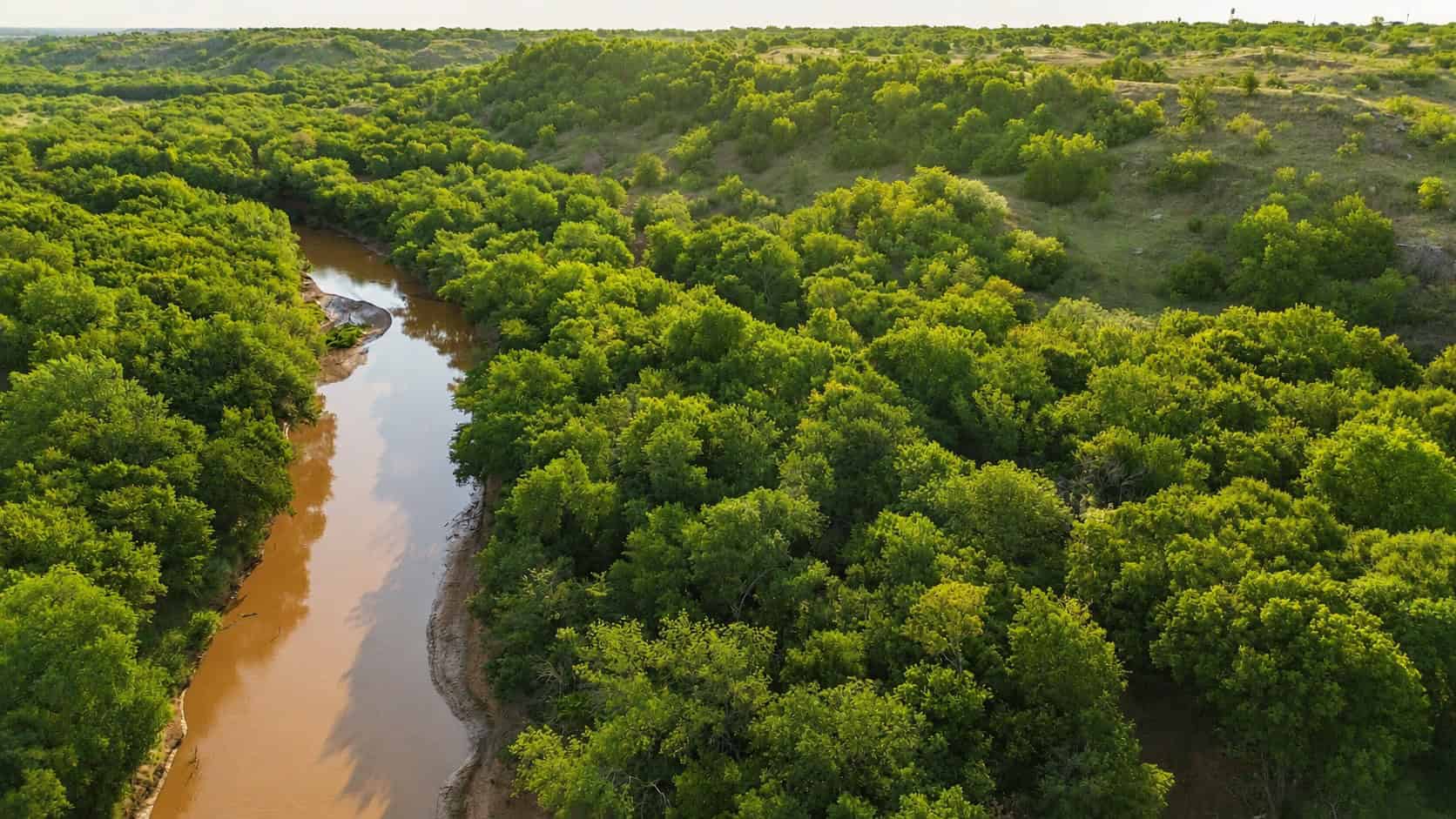 Stunning 391 ac Ranch in Clay County, TX