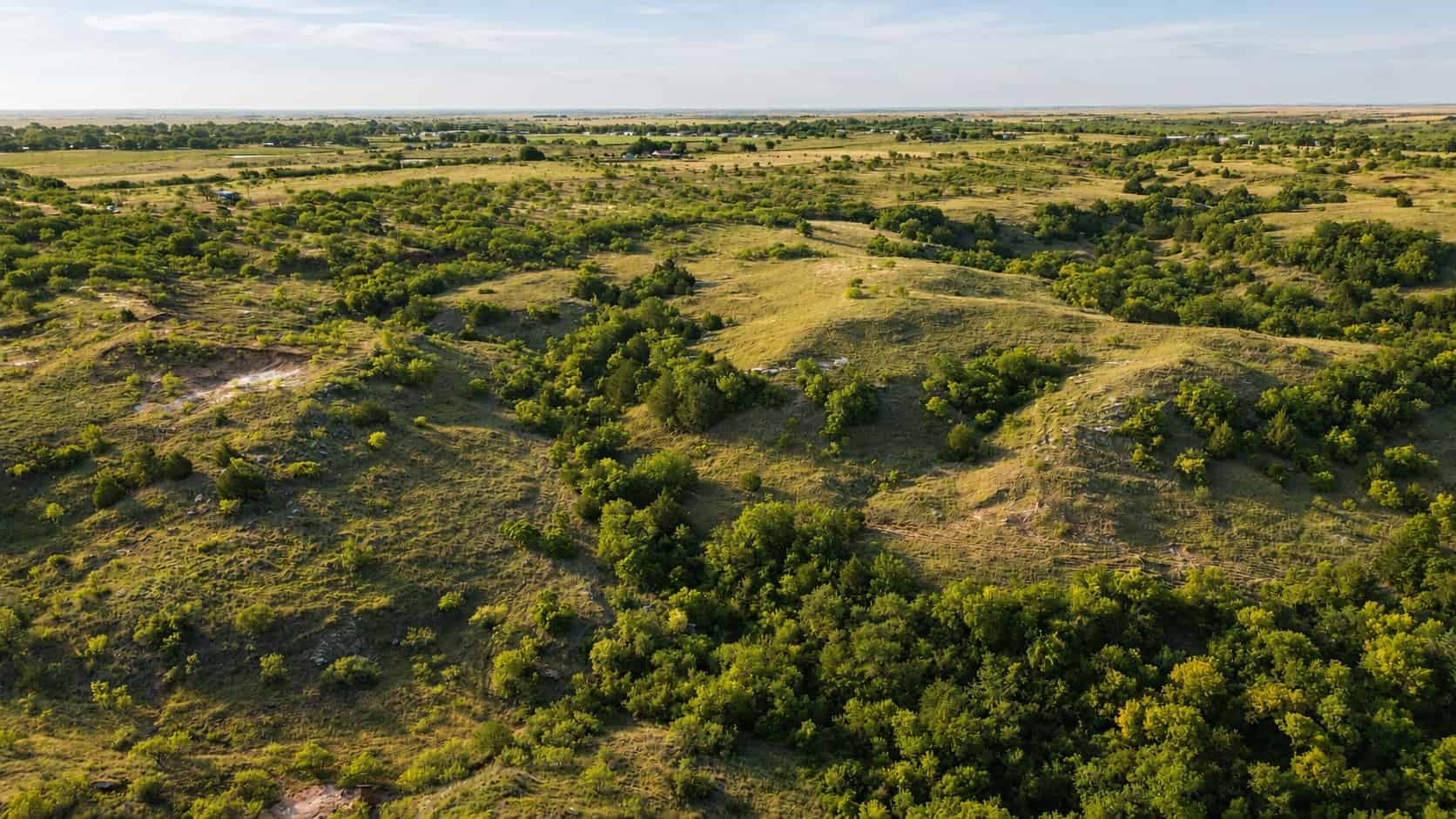 Stunning 391 ac Ranch in Clay County, TX
