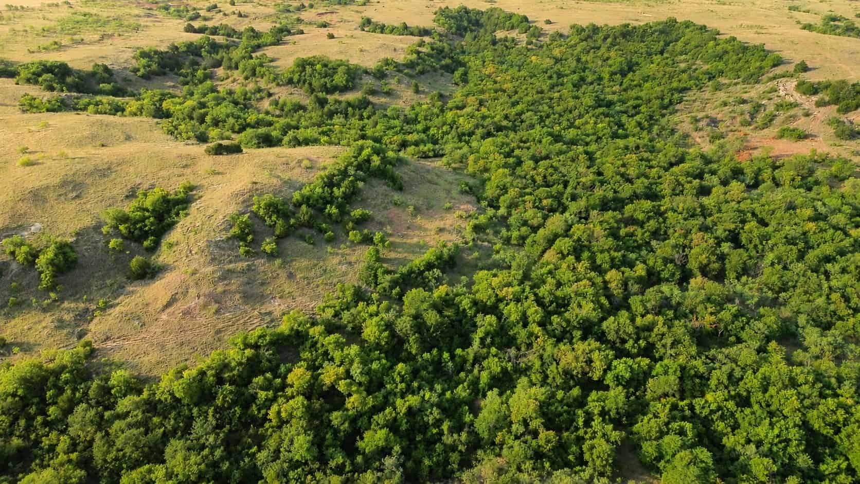 Stunning 391 ac Ranch in Clay County, TX