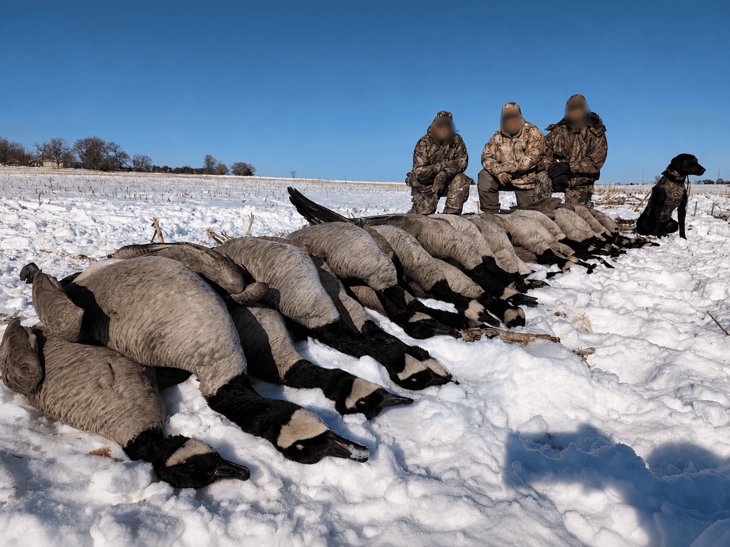 Established Kansas Outfitting Business with Lodge For Sale