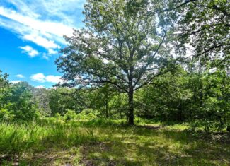 Truman Lake Hunting Property