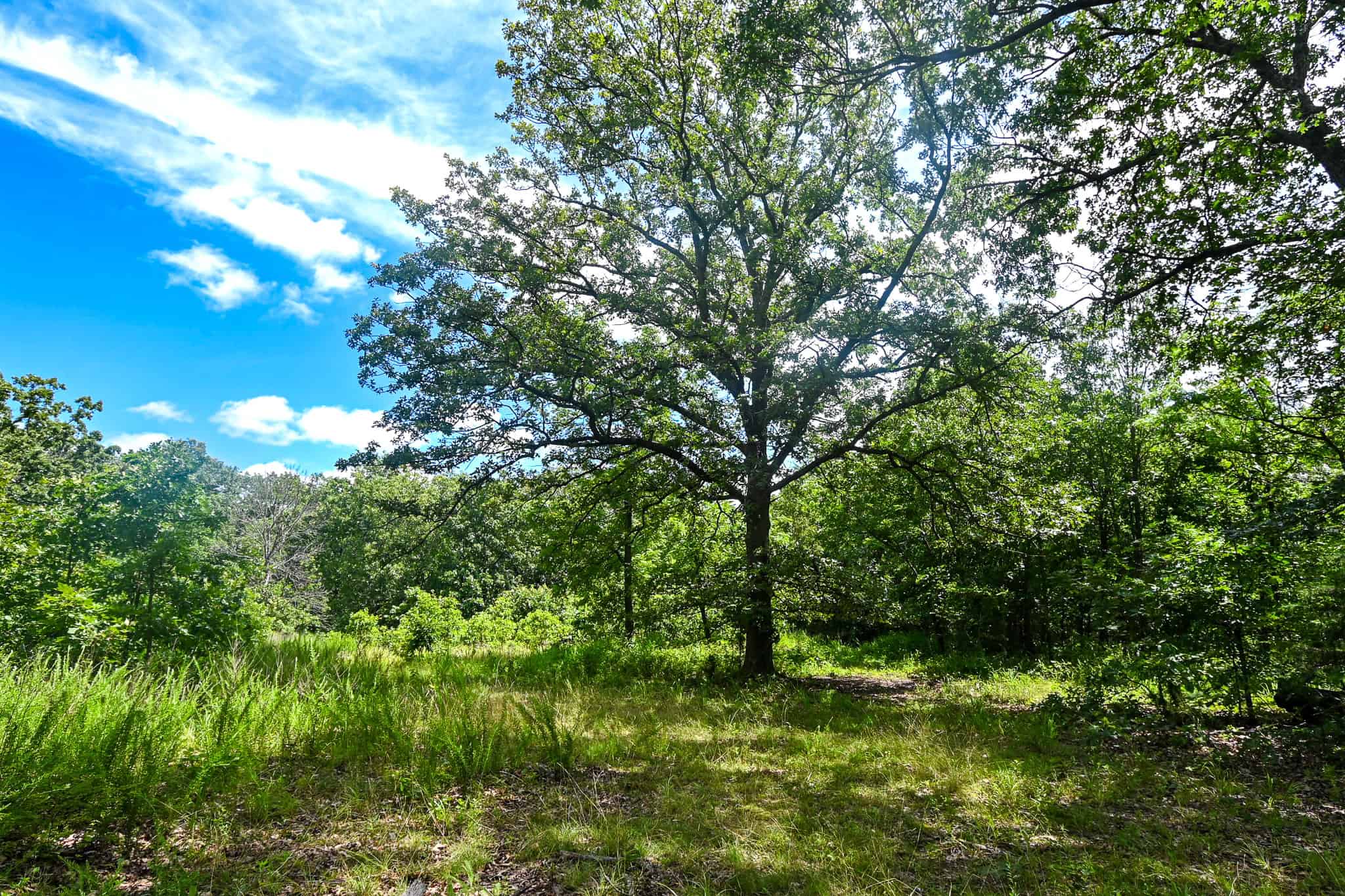 Truman Lake Hunting Property