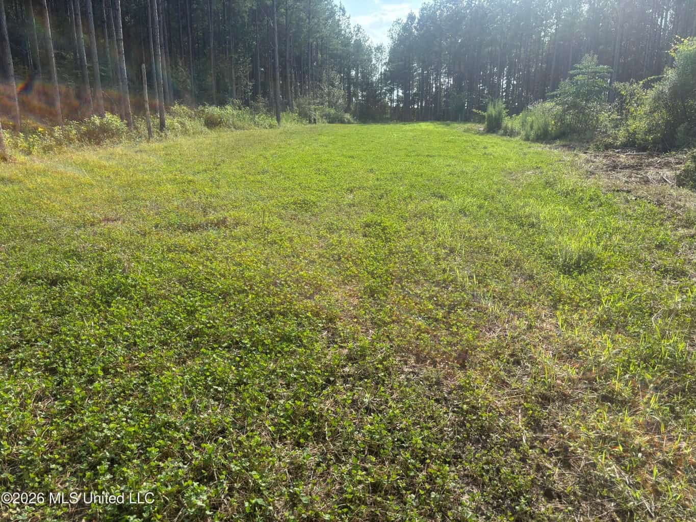 35 Acres for Sale in Pelahatchie, MS | Rankin County