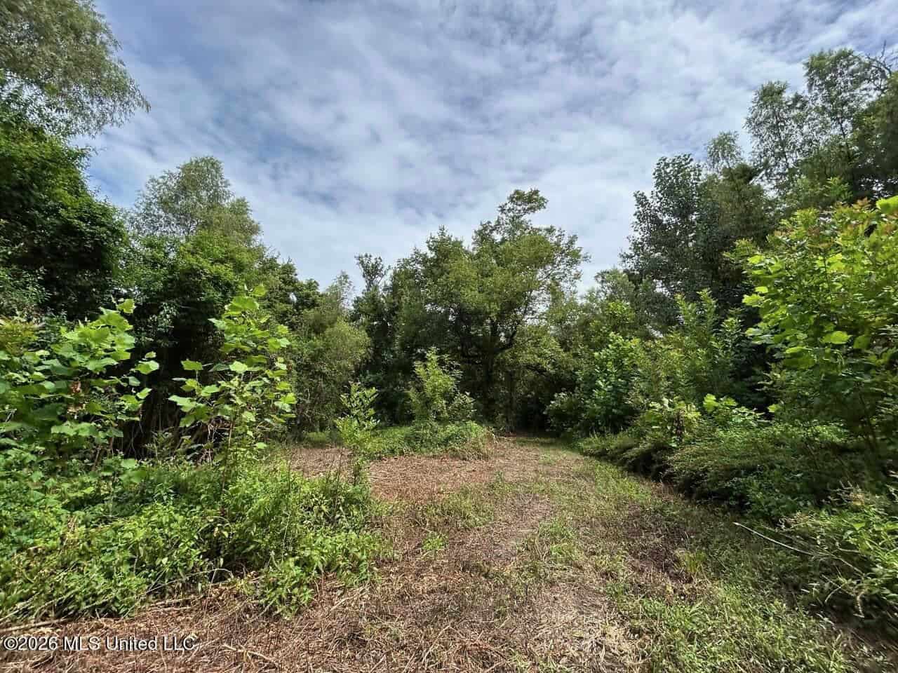 140± Acres in West Feliciana Parish, LA