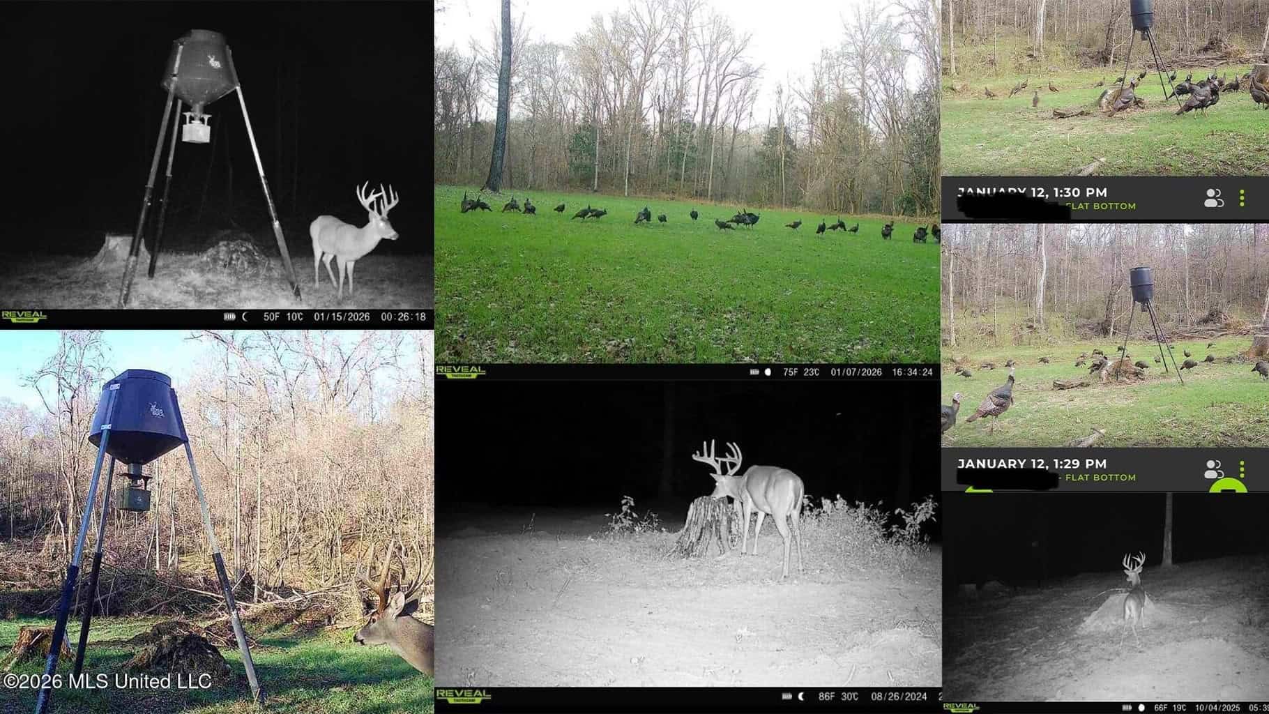 375± Acres in Jefferson County, MS Near Natchez Trace