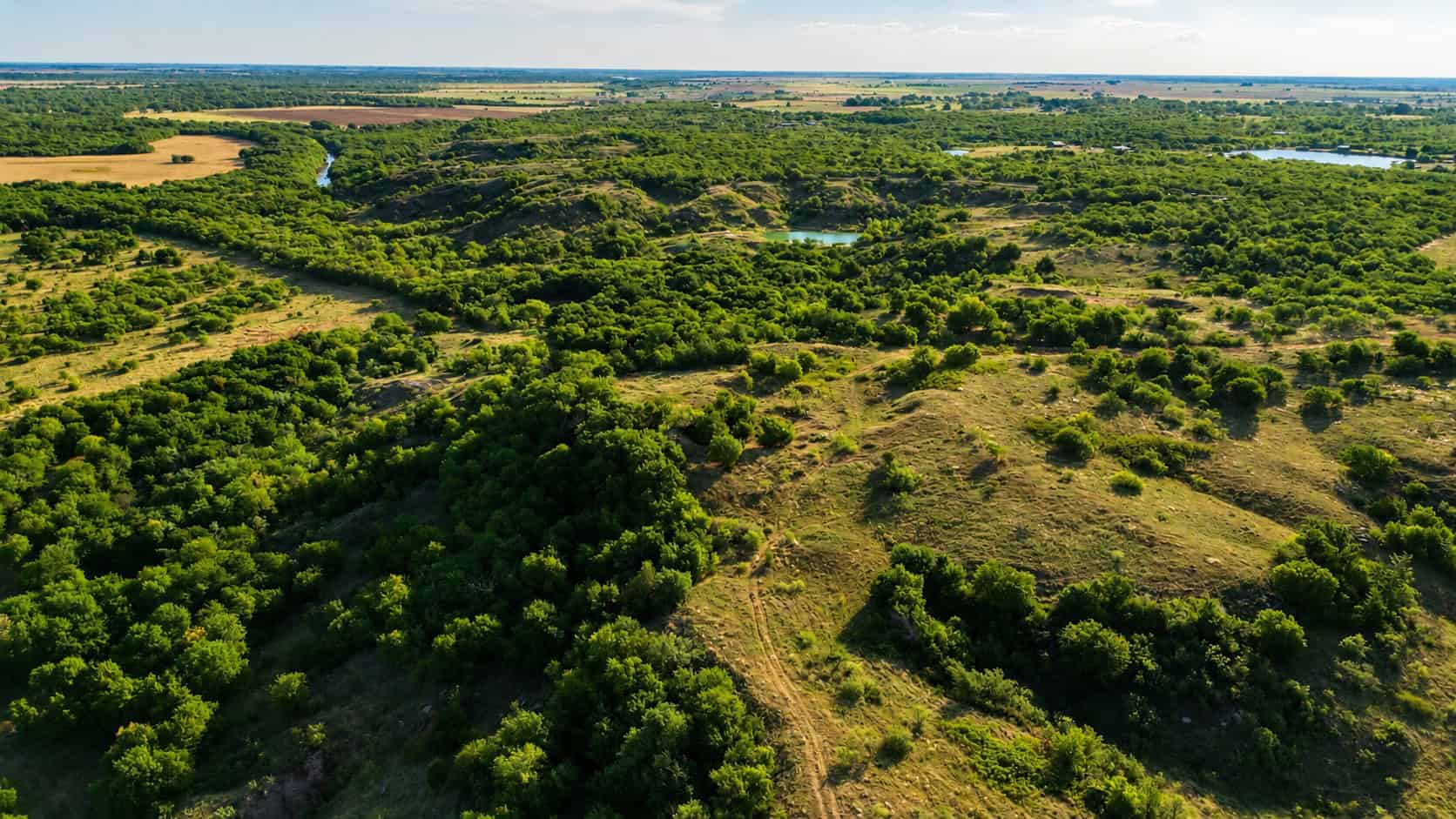 Stunning 391 ac Ranch in Clay County, TX