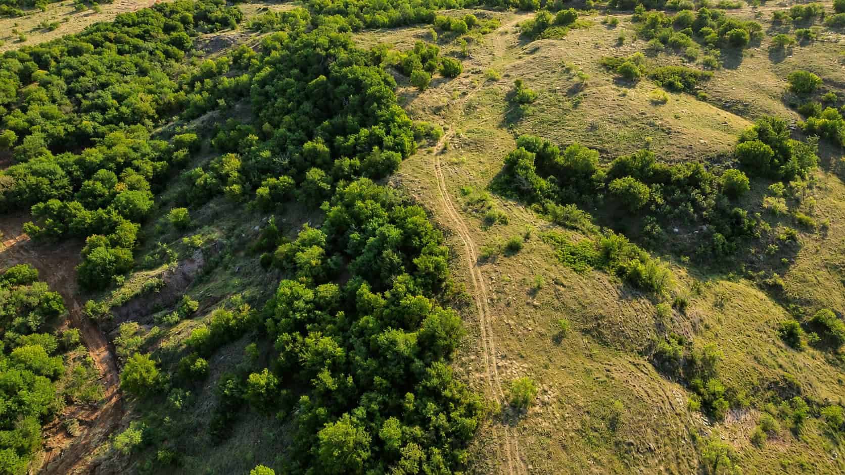 Stunning 391 ac Ranch in Clay County, TX