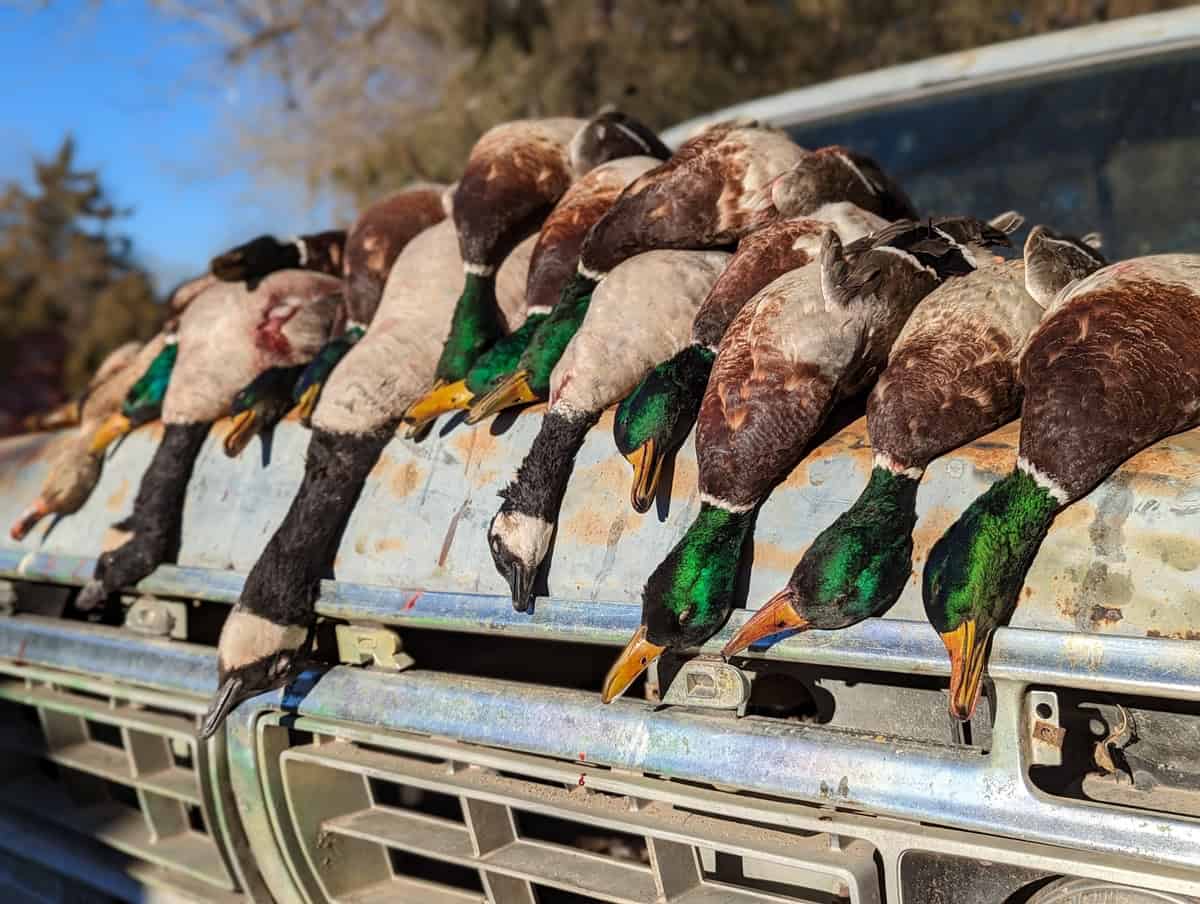 Established Kansas Outfitting Business with Lodge For Sale