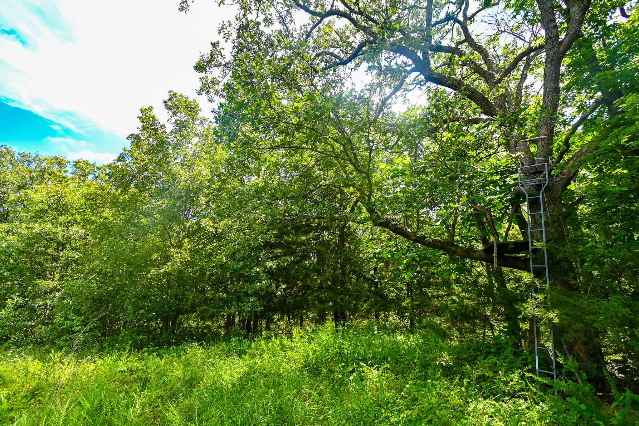 Truman Lake Hunting Property