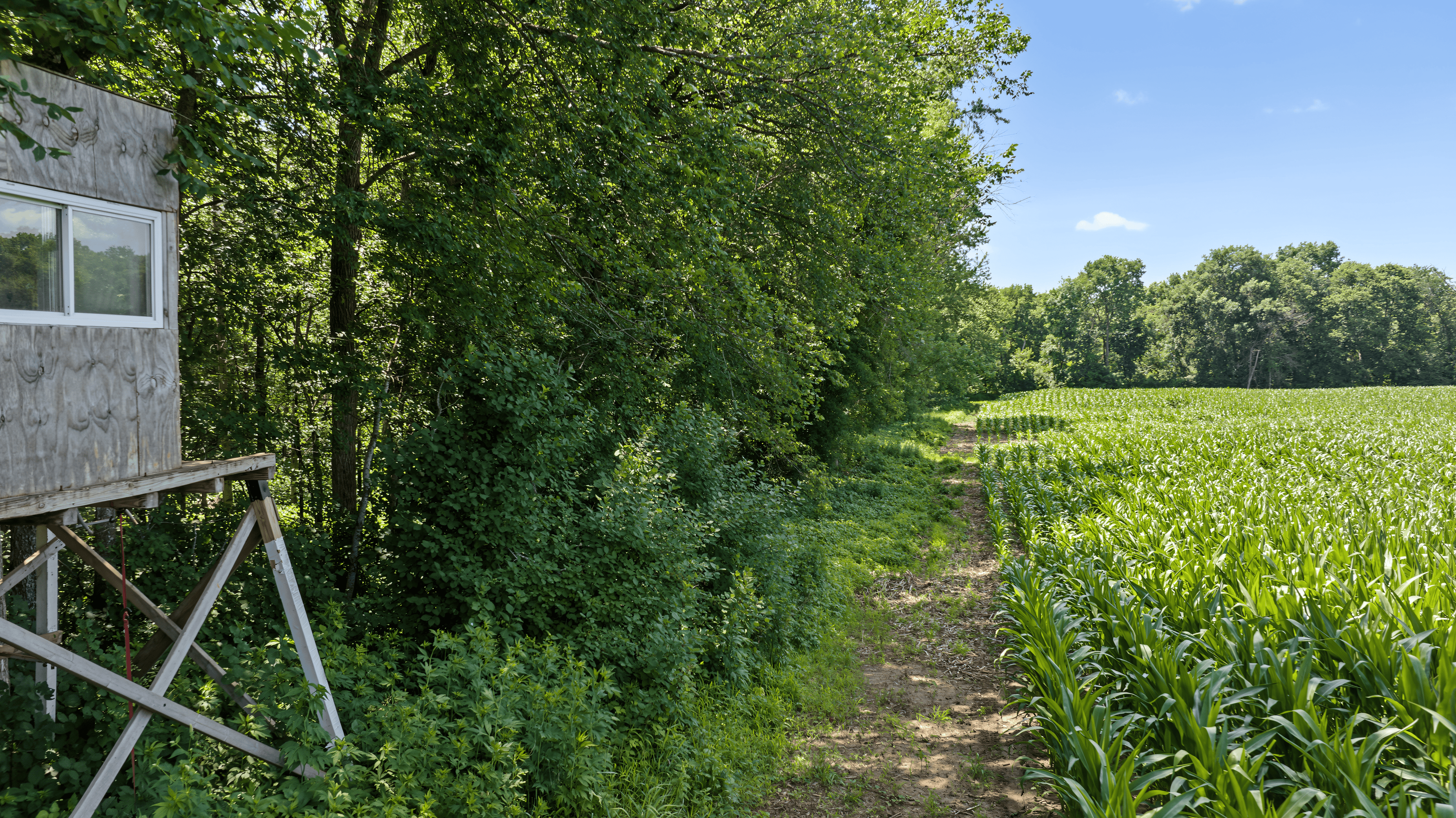 235± ACRE BLACK RIVER WATERFRONT & RECREATIONAL ESTATE
