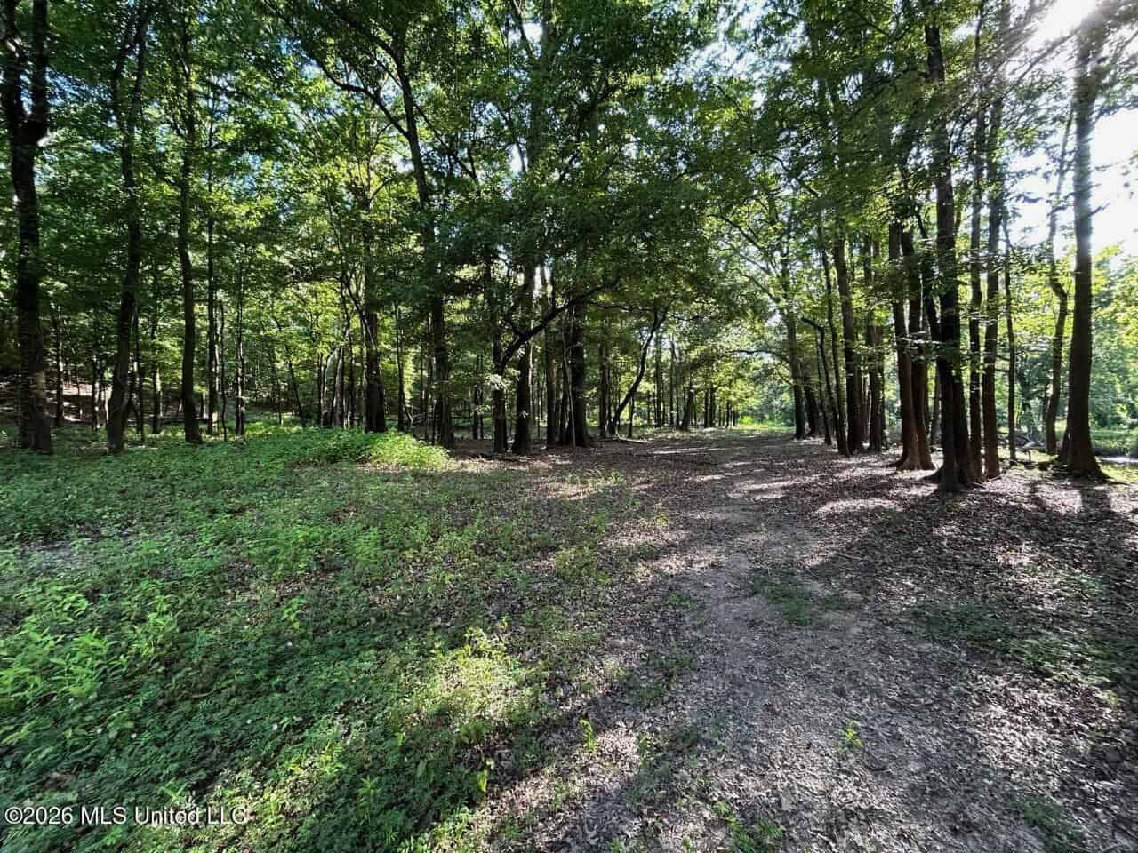 Wilkinson County, MS Hunting Club Membership