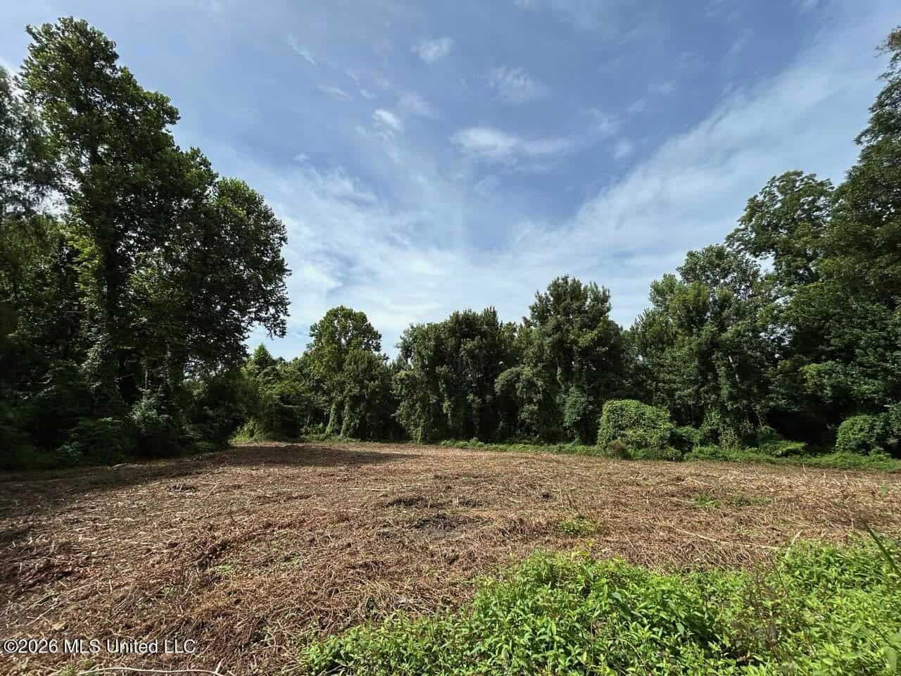 140± Acres in West Feliciana Parish, LA