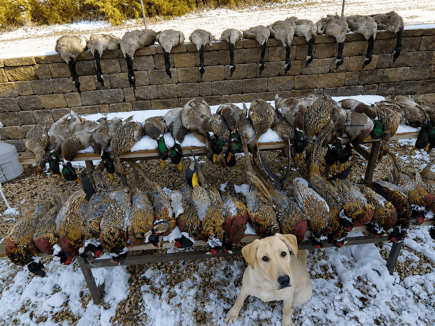 Established Kansas Outfitting Business with Lodge For Sale