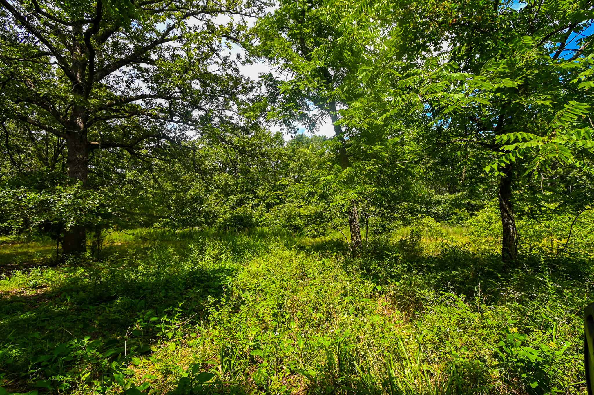 Truman Lake Hunting Property