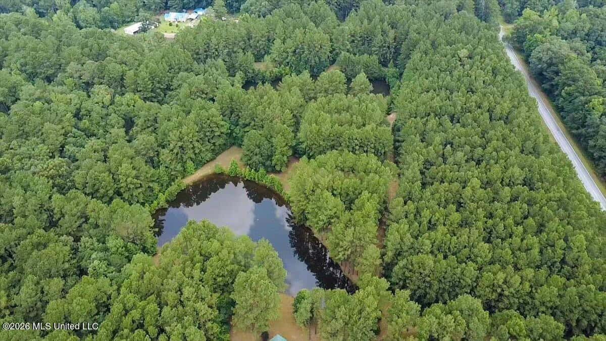 Log Cabin on 25 Acres with Ponds in Southwest MS