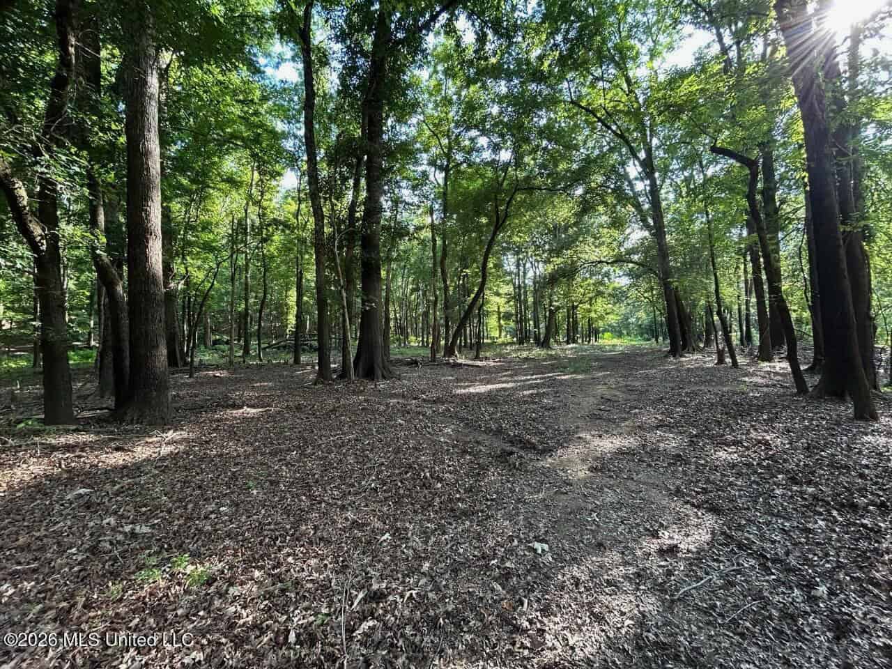 Wilkinson County, MS Hunting Club Membership