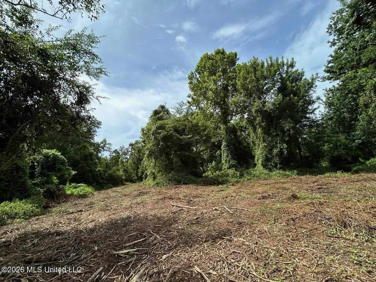 140± Acres in West Feliciana Parish, LA