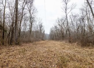 Hunting Property Bordering the National Forest