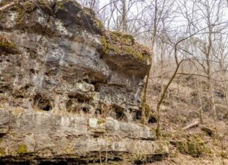 Hunting Property Bordering the National Forest