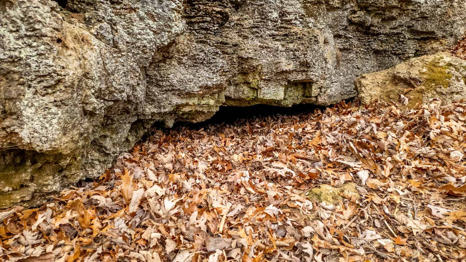 Hunting Property Bordering the National Forest