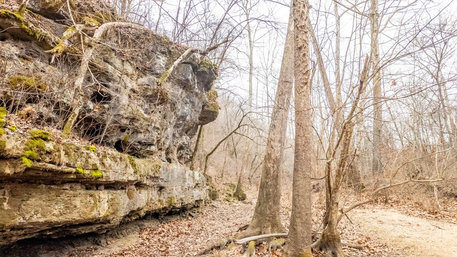 Hunting Property Bordering the National Forest