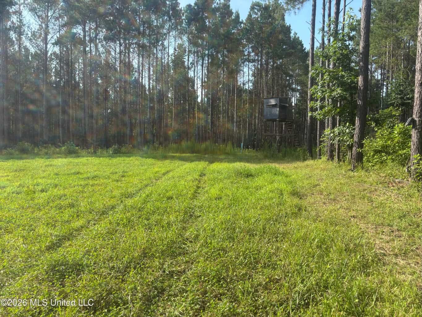 35 Acres for Sale in Pelahatchie, MS | Rankin County