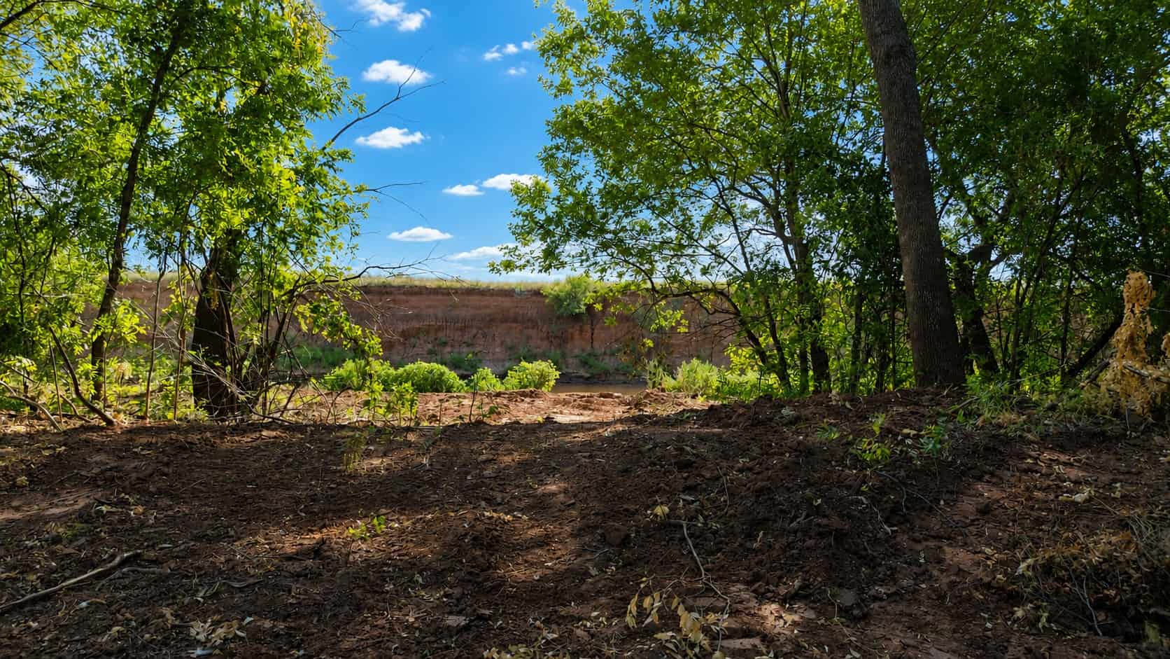 Stunning 391 ac Ranch in Clay County, TX