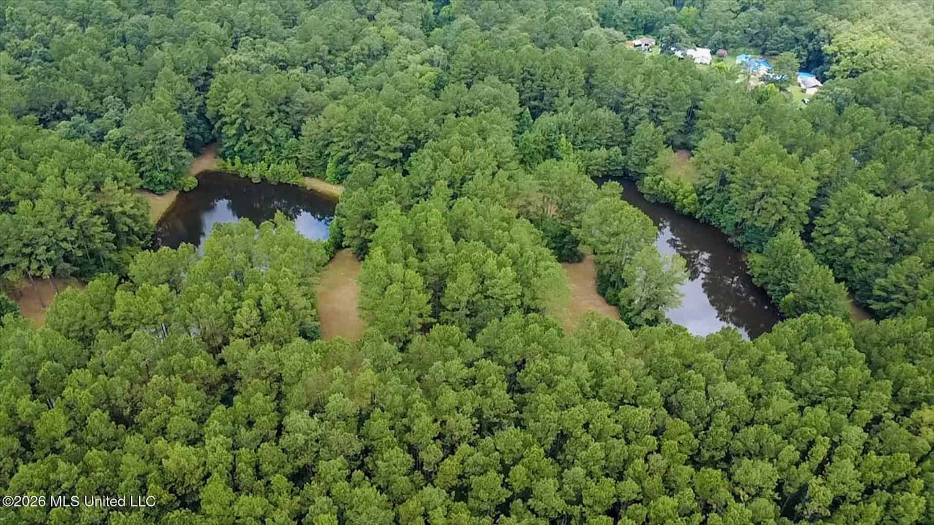 Log Cabin on 25 Acres with Ponds in Southwest MS