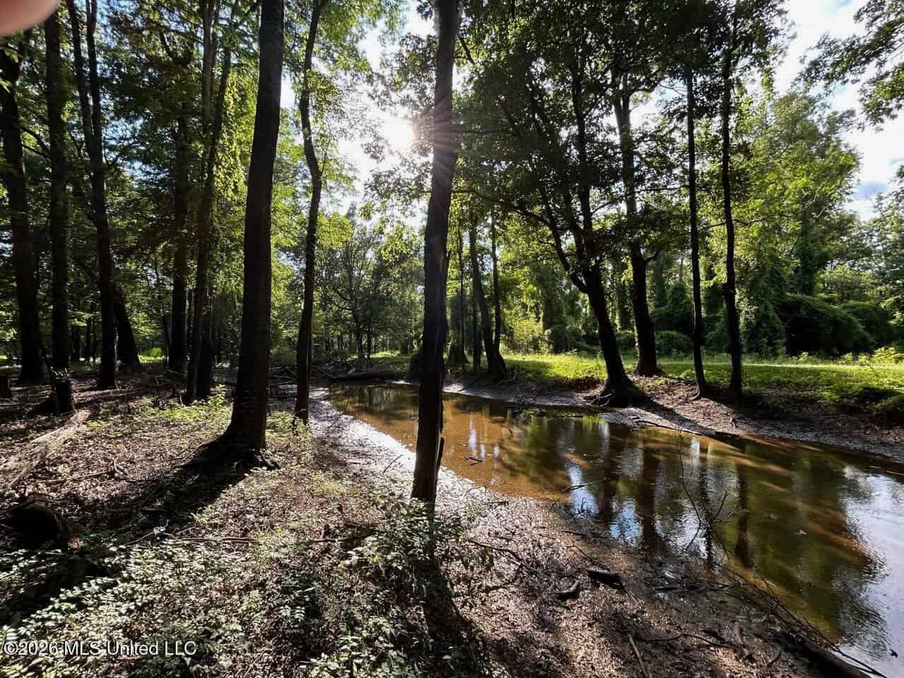 Wilkinson County, MS Hunting Club Membership