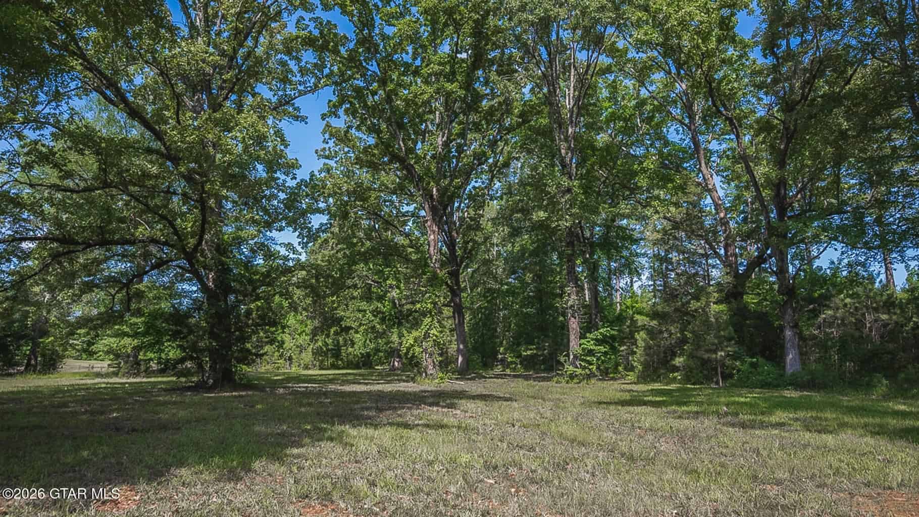Trophy Bass Fishing and Hunting Property Starkville MS