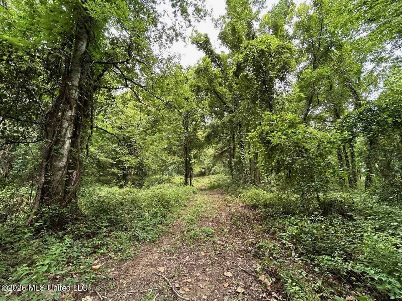 140± Acres in West Feliciana Parish, LA