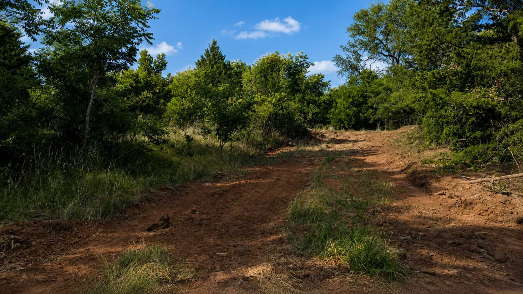 Stunning 391 ac Ranch in Clay County, TX