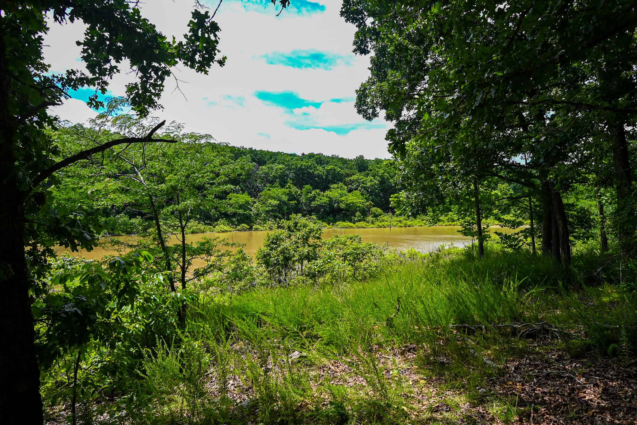 Truman Lake Hunting Property