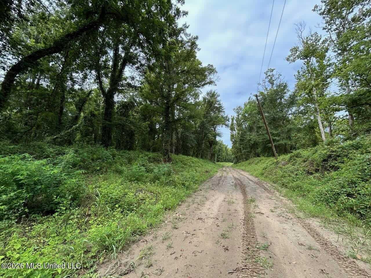 140± Acres in West Feliciana Parish, LA