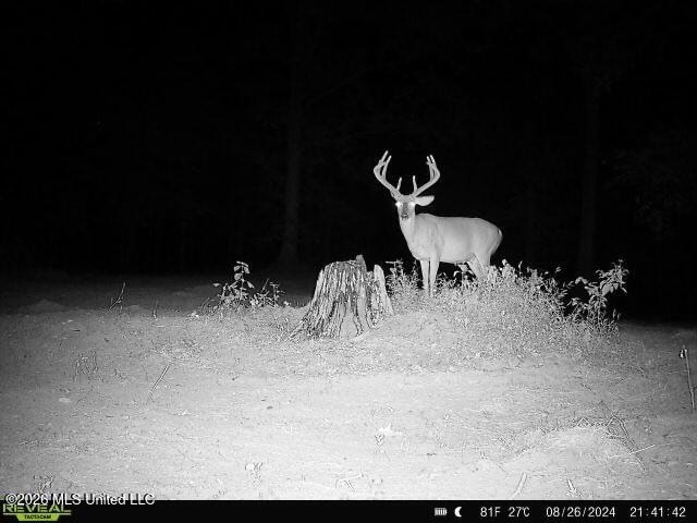 375± Acres in Jefferson County, MS Near Natchez Trace