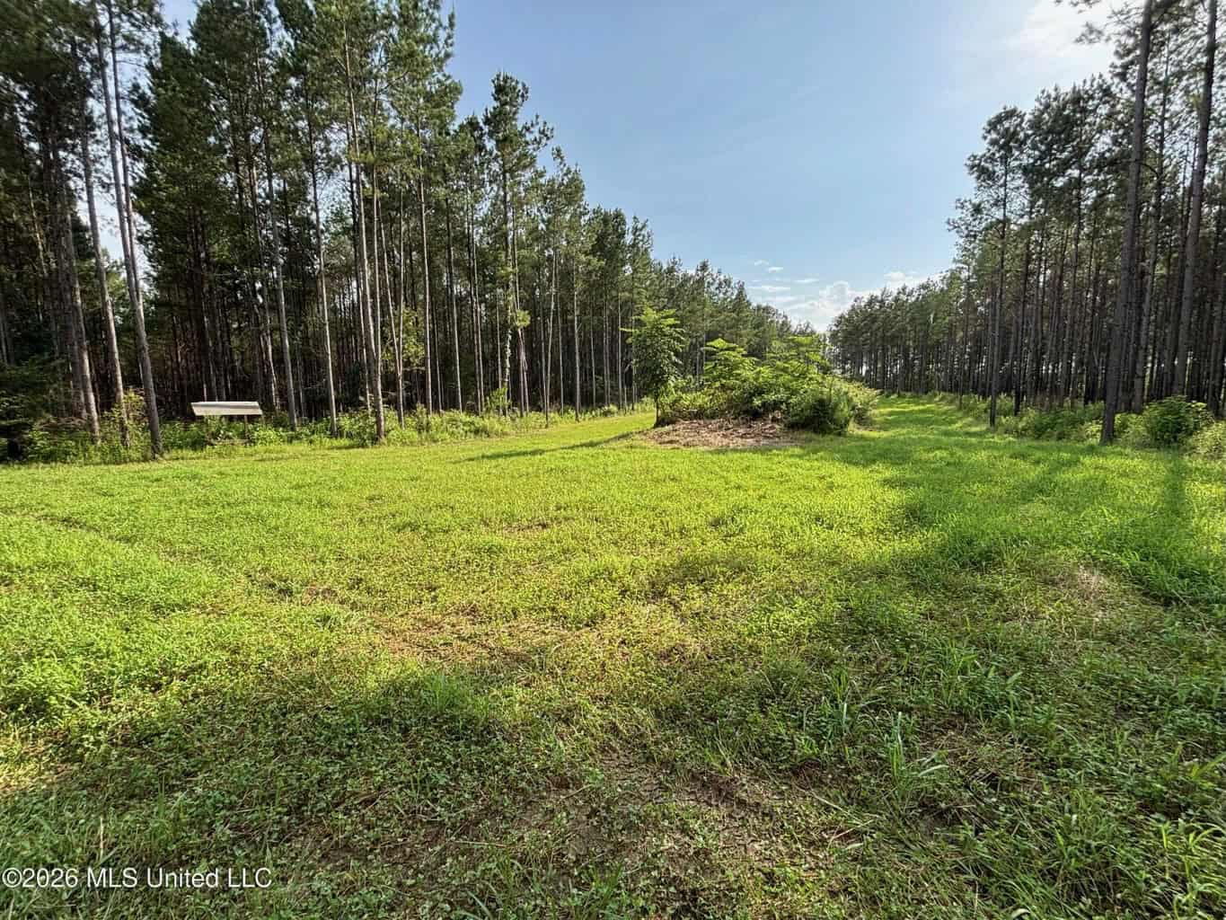 35 Acres for Sale in Pelahatchie, MS | Rankin County