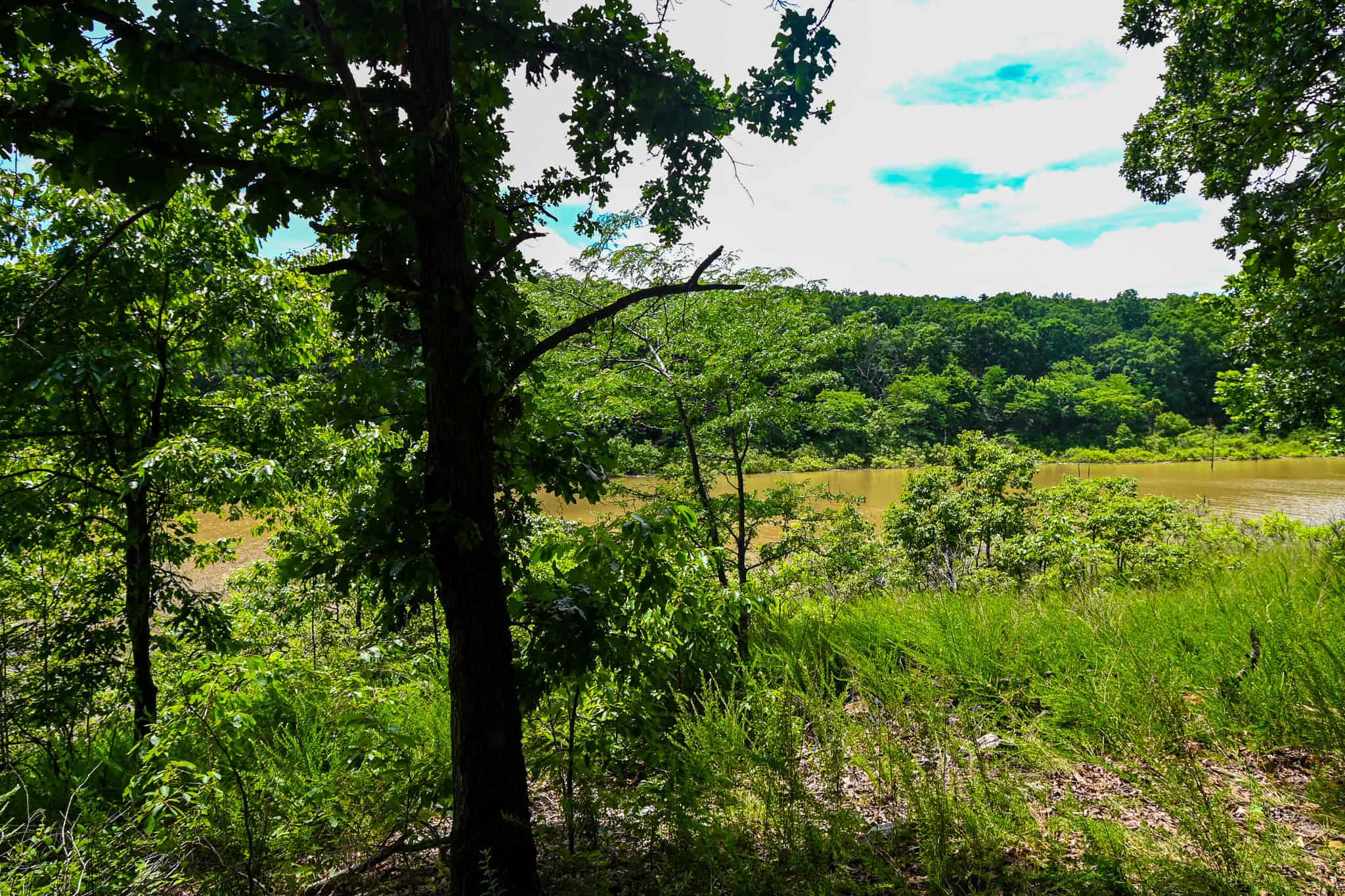 Truman Lake Hunting Property