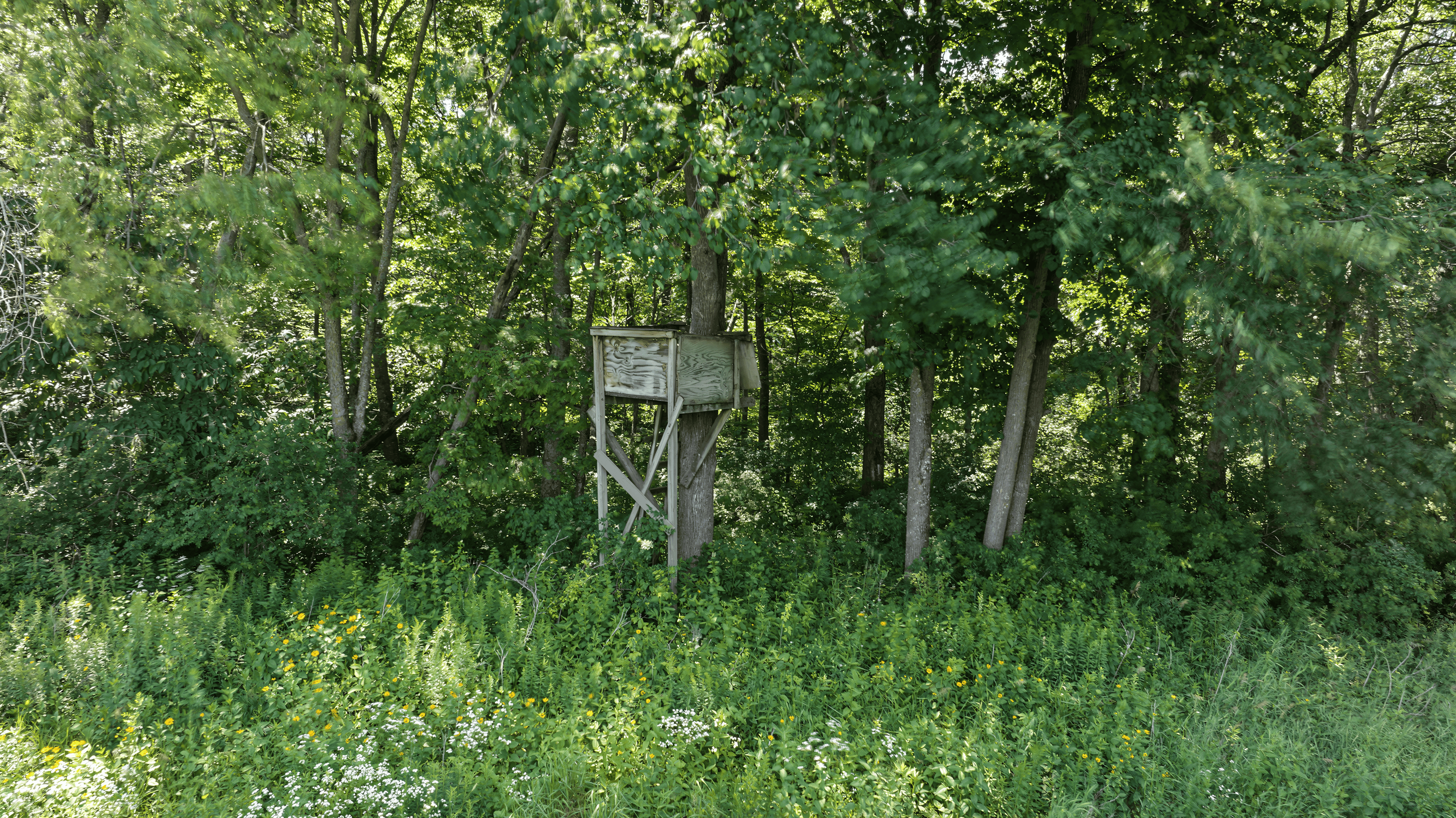 235± ACRE BLACK RIVER WATERFRONT & RECREATIONAL ESTATE