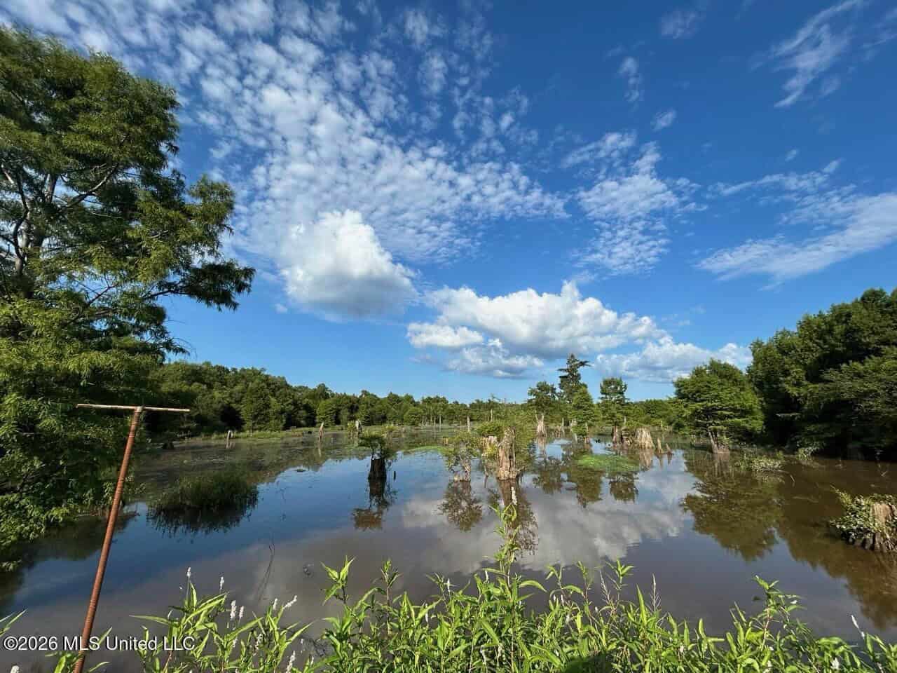 Wilkinson County, MS Hunting Club Membership
