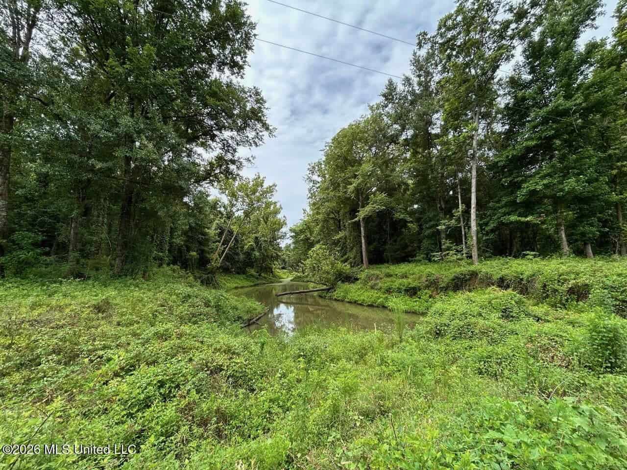 140± Acres in West Feliciana Parish, LA