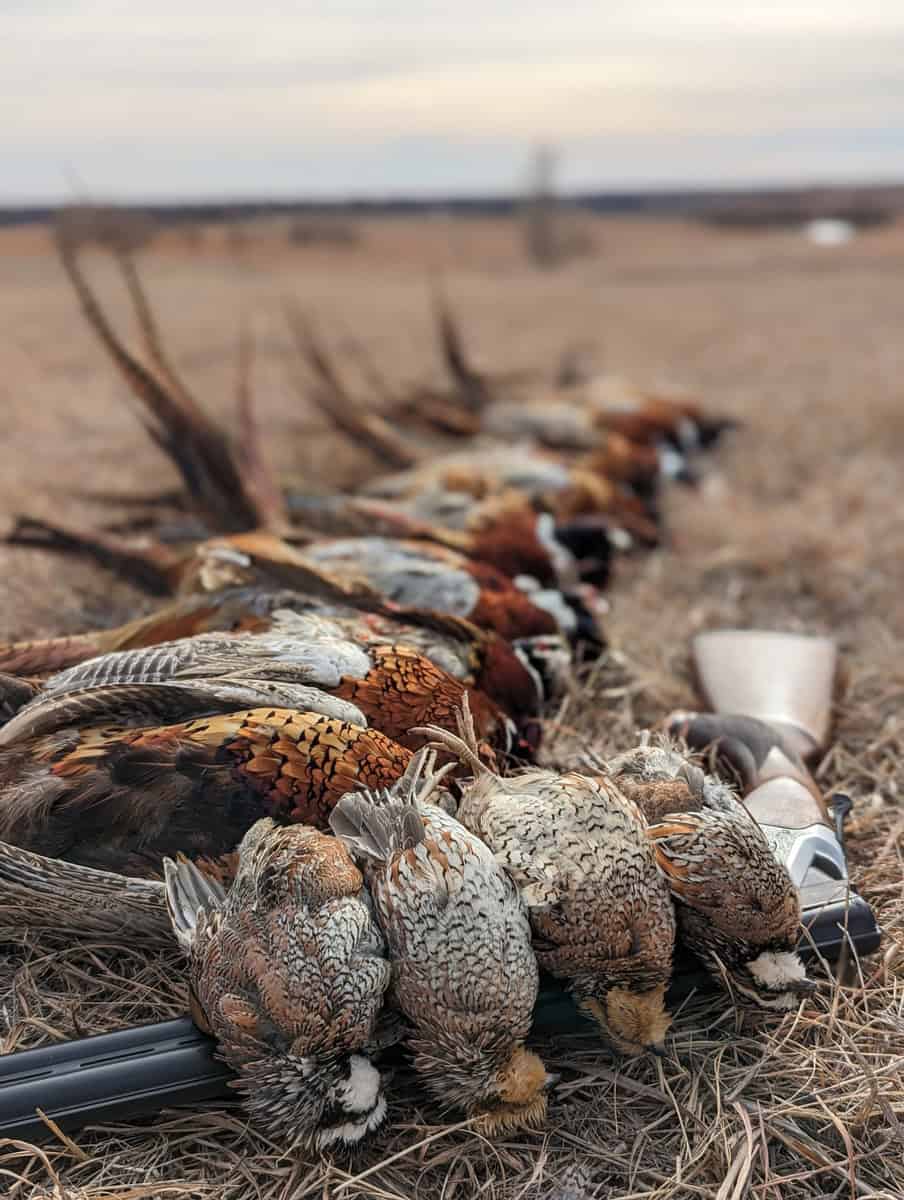Established Kansas Outfitting Business with Lodge For Sale