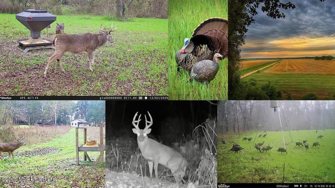 Second Union Hunting Club in Natchez, Mississippi