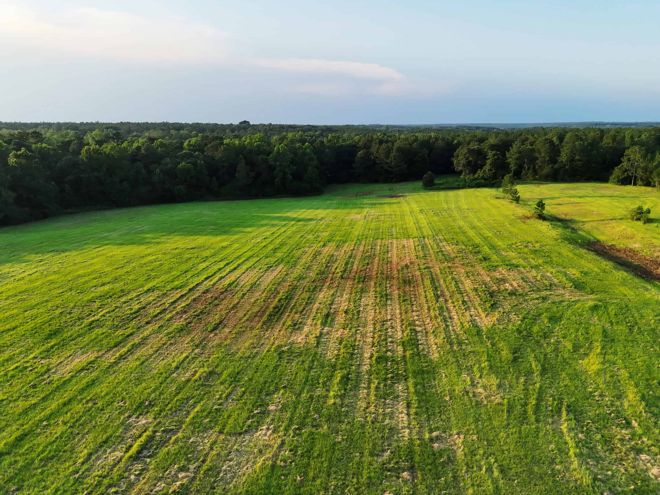 Cotton House Tract: premier 545ac hunting & recreational property in Randolph Cty